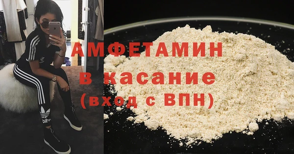 шишки Аркадак