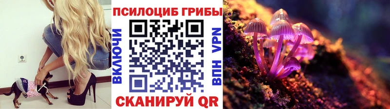 Галлюциногенные грибы MAGIC MUSHROOMS Аркадак